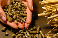 free Rounds Green biomass boiler quotes